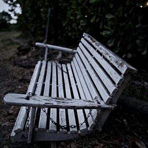 Meet your Posher, Remi